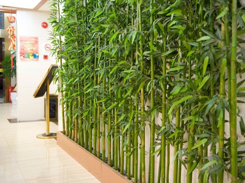 Shanghai Amersino Hotel Εξωτερικό φωτογραφία